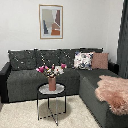 Apartman Aleksic Jagodina Bagian luar foto