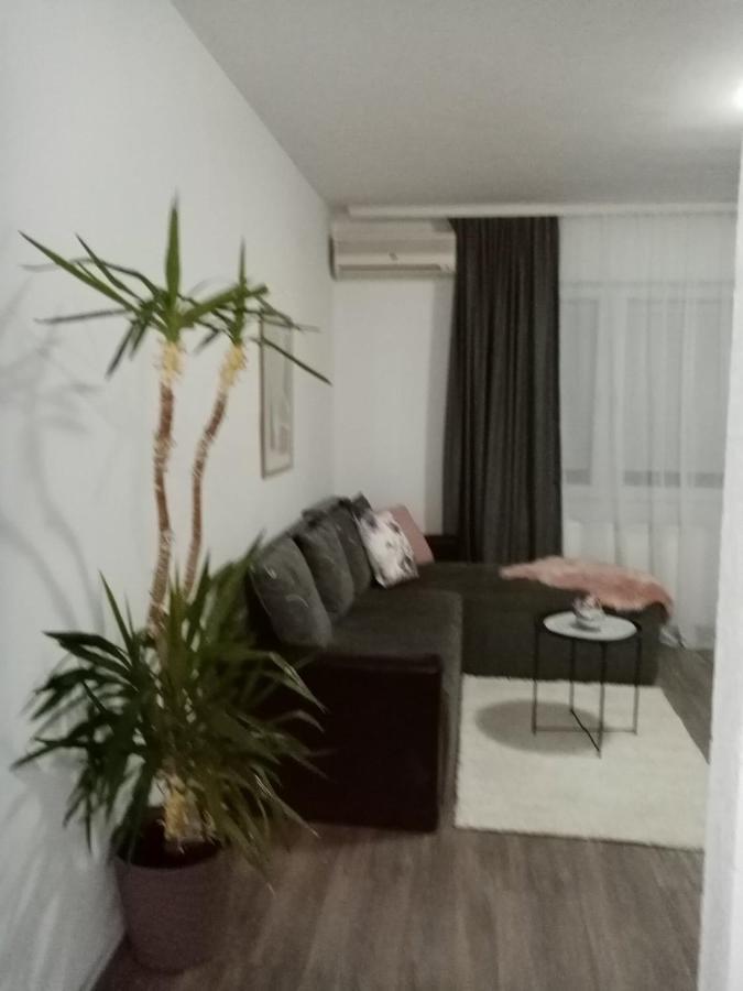 Apartman Aleksic Jagodina Bagian luar foto