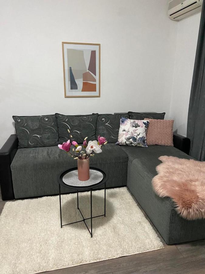 Apartman Aleksic Jagodina Bagian luar foto