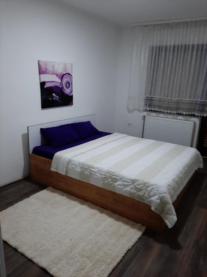 Apartman Aleksic Jagodina Bagian luar foto