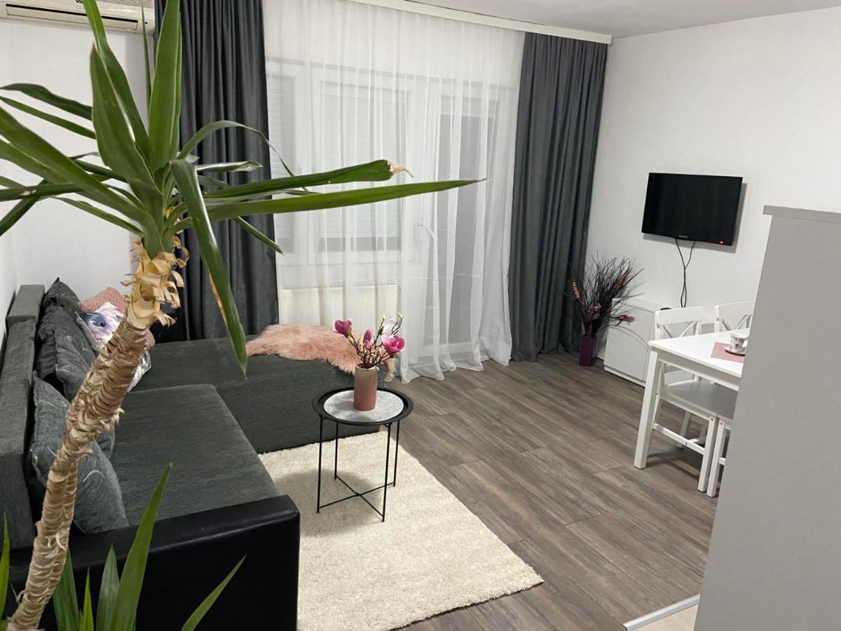Apartman Aleksic Jagodina Bagian luar foto